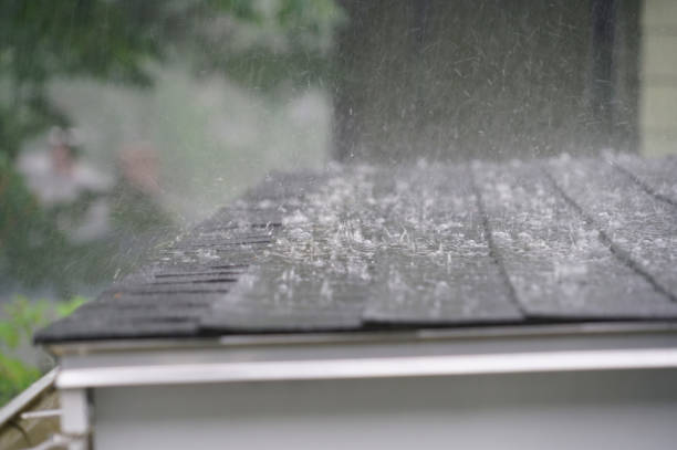 Best Storm Damage Roof Repair  in Washington, PA